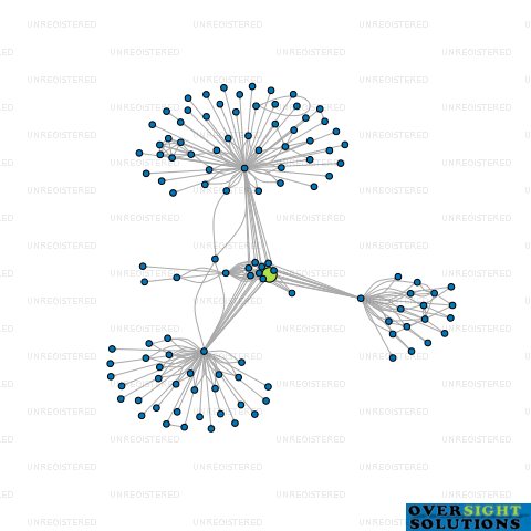 Network diagram for MODIN HOLDINGS LTD