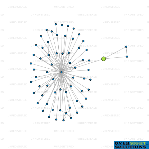 Network diagram for WITTENHAM TRUSTEES LTD