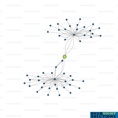 Network diagram for 484 GEORGE ST MANAGEMENT LTD