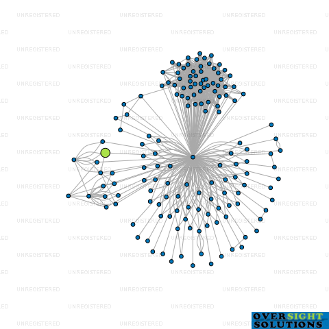 Network diagram for WISDOM CLEANING LTD