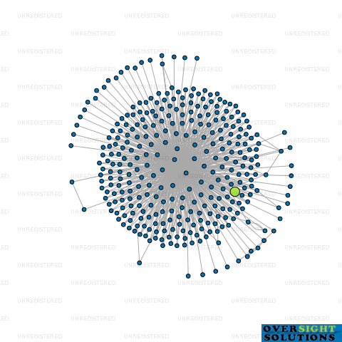 Network diagram for TRUSTEE 2106132313 LTD