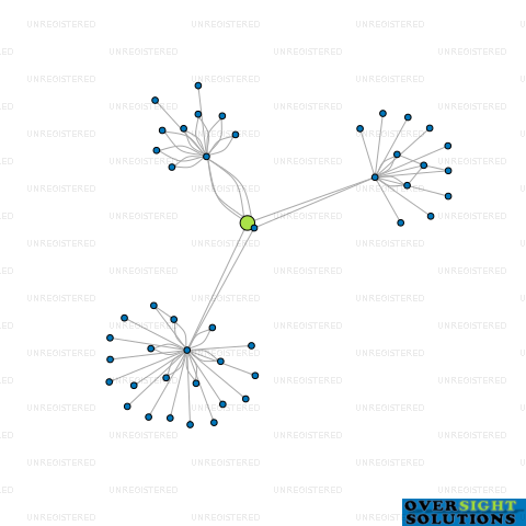 Network diagram for PURE  FRESH MILK LTD