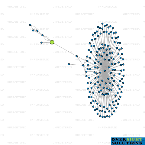 Network diagram for ARYA INVESTMENT TRUSTEE LTD