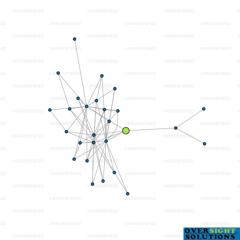 Network diagram for WISE MANAGEMENT SERVICES LTD