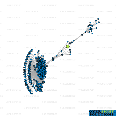 Network diagram for BELLE GROWTH LTD