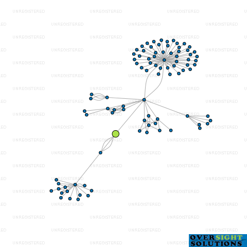 Network diagram for SRB PACIFIC LTD