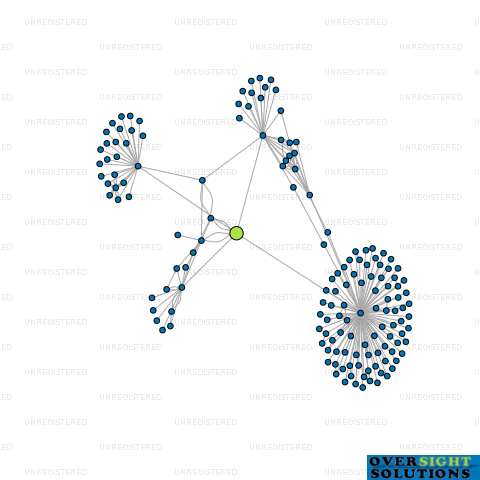 Network diagram for THE SHEEP COMPANY LTD