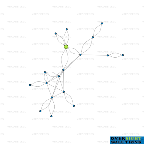 Network diagram for 13 TERA INVESTMENTS LTD