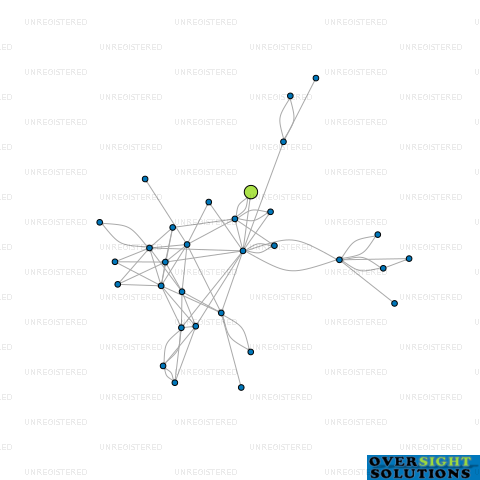 Network diagram for MONTAGE BAR LTD