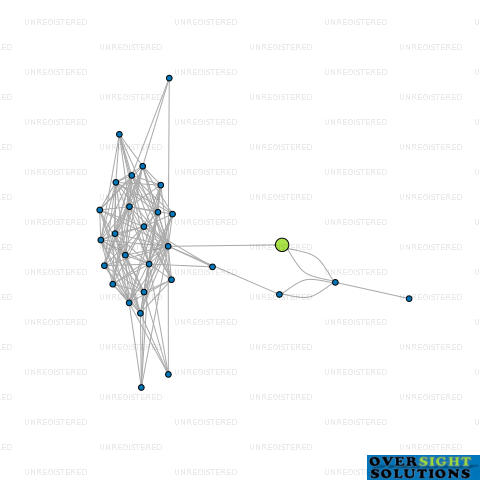 Network diagram for BIC TROLLEYS LTD