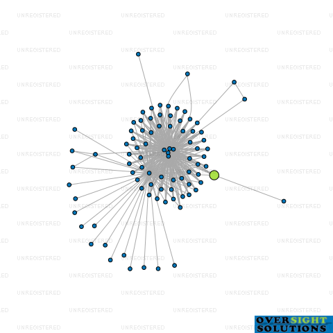 Network diagram for SUMMERSET MANAGEMENT GROUP LTD