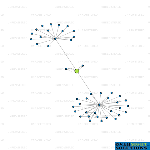 Network diagram for TSC 2002 LTD