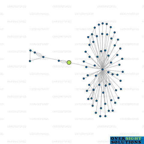 Network diagram for SKOPIK LTD