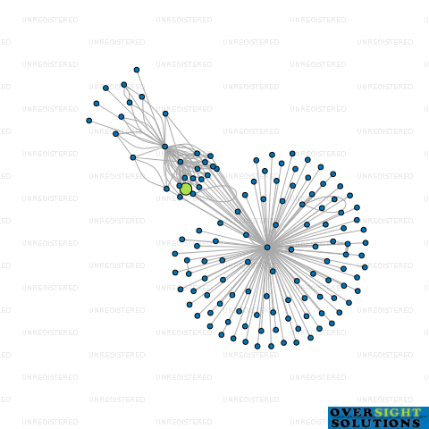 Network diagram for 249 BOND INVESTMENTS LTD