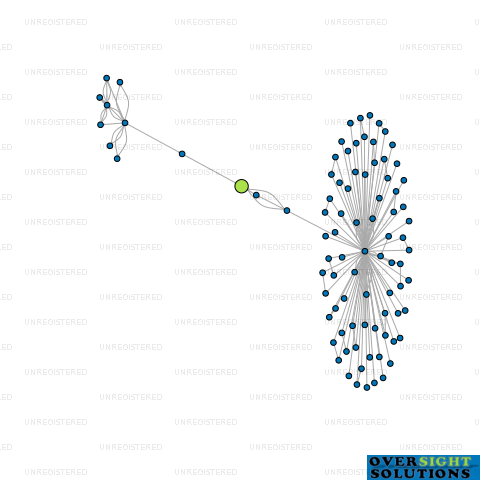 Network diagram for 360 VINEYARD LTD