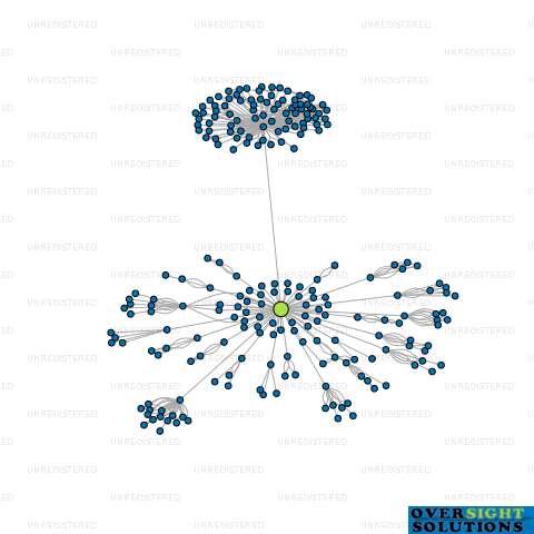 Network diagram for OPTIMIZER HQ LTD