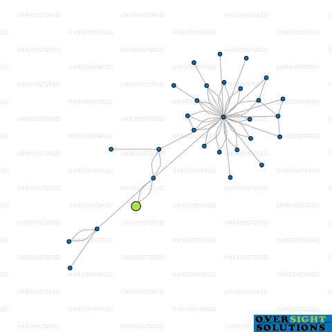 Network diagram for MOCCHI LITTLE LTD