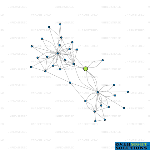 Network diagram for 3 NEEDLES LTD