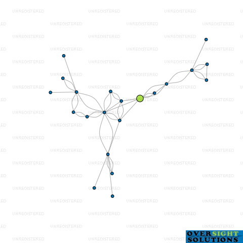 Network diagram for HONEST WOLF LTD