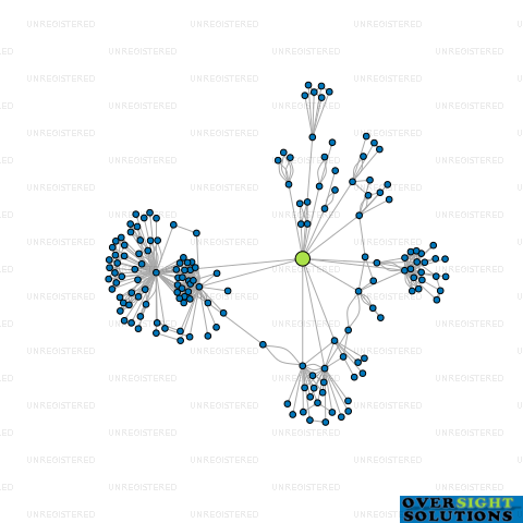 Network diagram for LOGAN POINT LTD