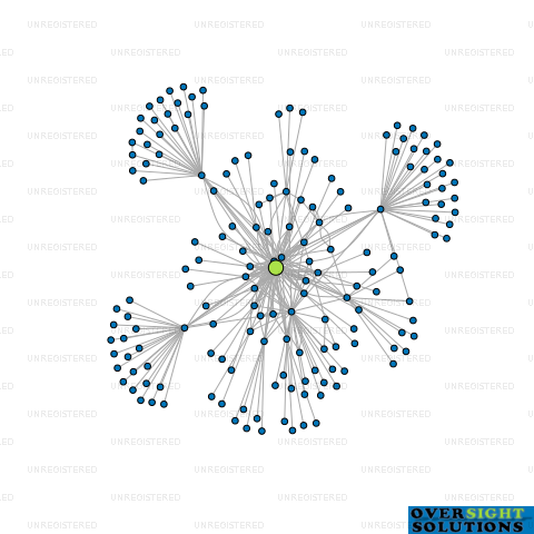 Network diagram for WL TRUSTEE HOLDING LTD