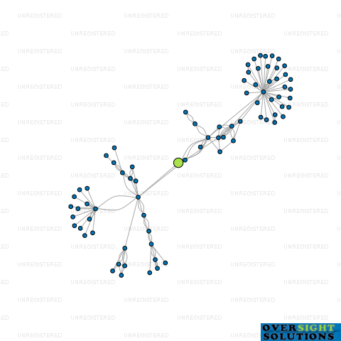 Network diagram for WINSTON HOLDINGS LTD