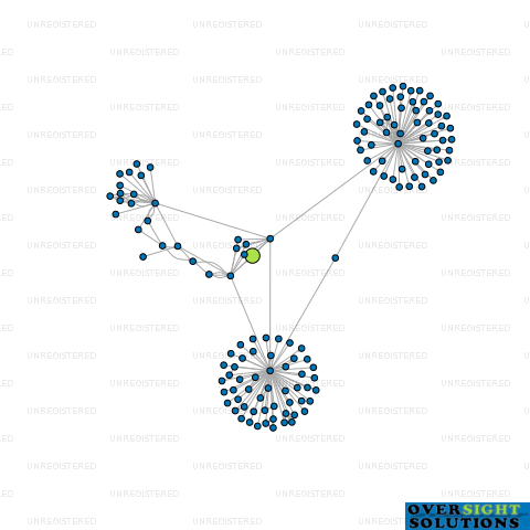 Network diagram for 54 SOUTH LTD