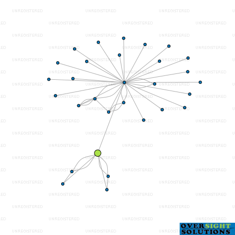 Network diagram for BLUE TOP LTD