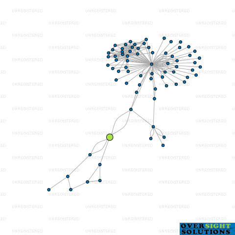 Network diagram for TRIUNITY TRANSTRADE LTD