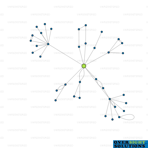 Network diagram for PICOT PRODUCTIONS LTD