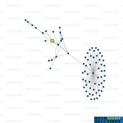 Network diagram for NATURALLY PET LTD