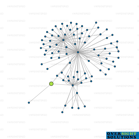 Network diagram for THE CERNUNNOS TRUST COMPANY LTD