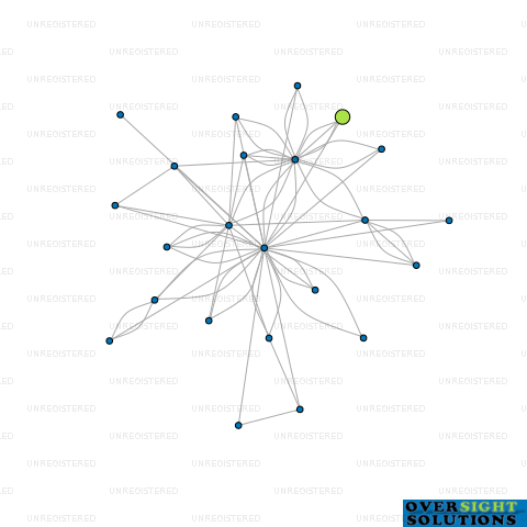 Network diagram for COLLINS INVESTMENT HOLDINGS LTD