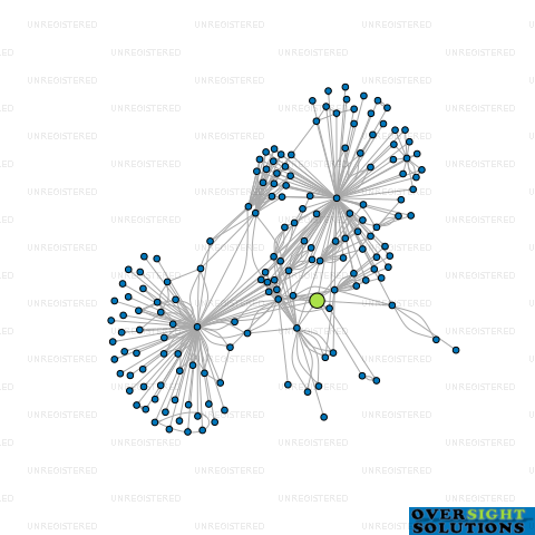 Network diagram for MONDIAL ASSOCIATES LTD