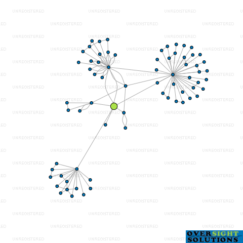 Network diagram for SOUNDS LIFESTYLE VENTURES LTD