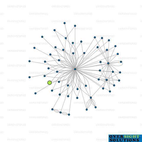 Network diagram for 261 AMERINS LTD