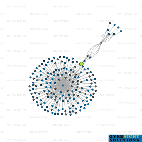 Network diagram for NETMAN LTD