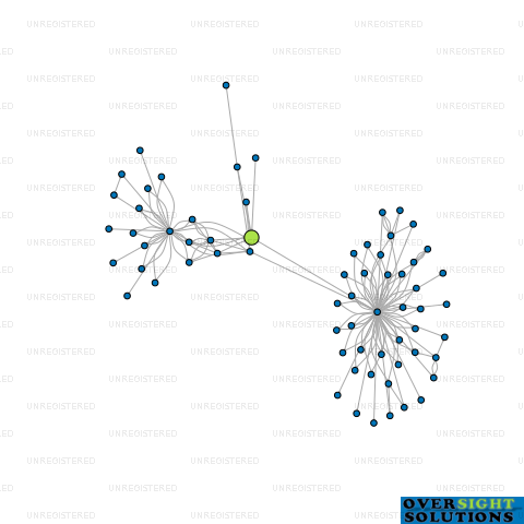 Network diagram for MORGAN FURNITURE INT LTD