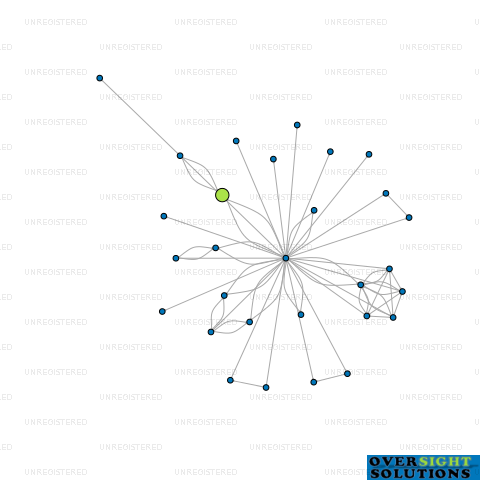 Network diagram for RUBICONIC LTD