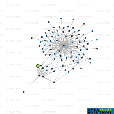 Network diagram for HIGHFORD MARKETING GROUP LTD