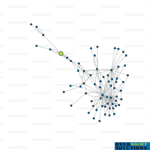 Network diagram for WITHLARO HOLDINGS LTD