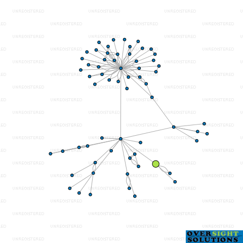 Network diagram for REDEMPTIVE ORTHOPAEDIC SURGERY LTD
