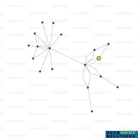 Network diagram for SHADOW LION ENTERPRISES LTD