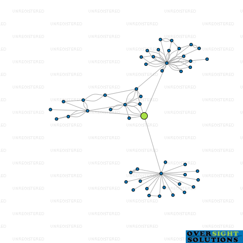 Network diagram for DARSCO INVESTMENTS LTD