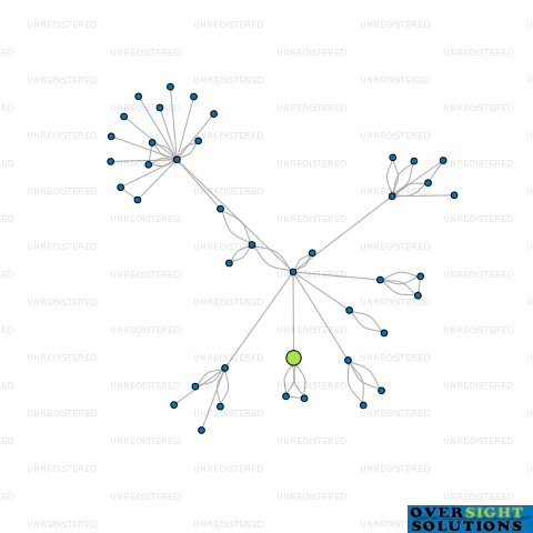 Network diagram for WILSON MOTOR COMPANY LTD