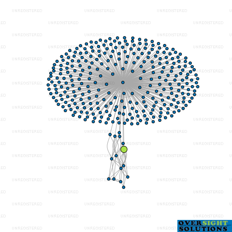 Network diagram for EELS TRUST LTD