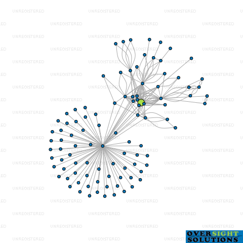 Network diagram for TURNBERRY INVESTMENTS LTD