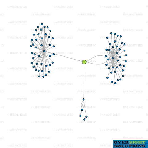 Network diagram for SHADFORTH KITSON TRUSTEES LTD
