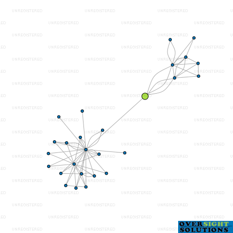 Network diagram for CONCORDE ASIA PACIFIC LTD