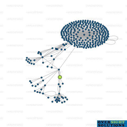 Network diagram for NECTAR ADVISORS LTD